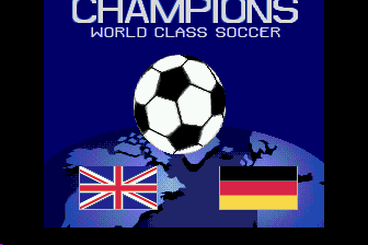 世界杯足球(世界)